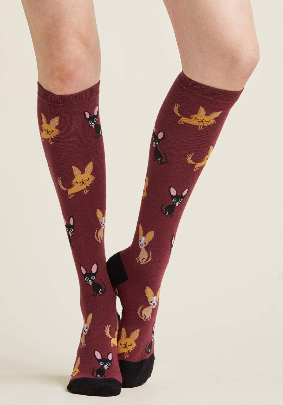 F0366 - How could something so high energy be so conducive to cozying up for R & R? Slip into these burgundy knee socks and find out for yourself! As peppy and cute as they are snuggly and sweet, the multicolored Chihuahuas printed on these black-trimmed socks pu