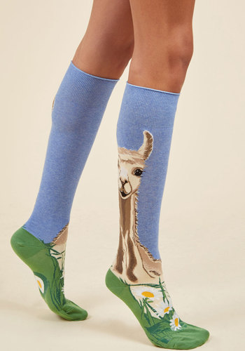 ModSock - Llama Didn't Raise No Fool Socks