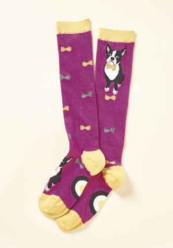 ModSock - Terrier of Influence Socks